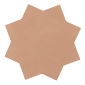 Terracotta Star Terracotta Star