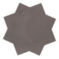 Mud Star Mud Star