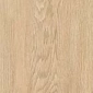 Light Beige Light Beige