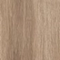 Light Brown Light Brown